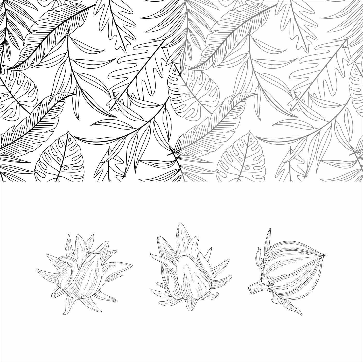 A swatch of a seamless pattern of tropical leaves in line art, above a set of three hibiscus roselles in dotted lines.